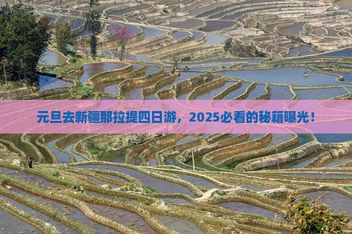 元旦去新疆那拉提四日游