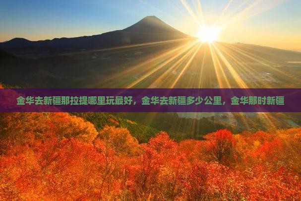 金华去新疆那拉提哪里玩
