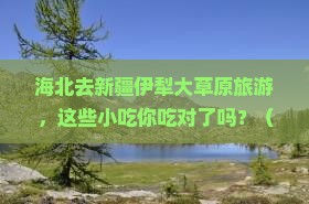 海北去新疆伊犁大草原旅游小吃