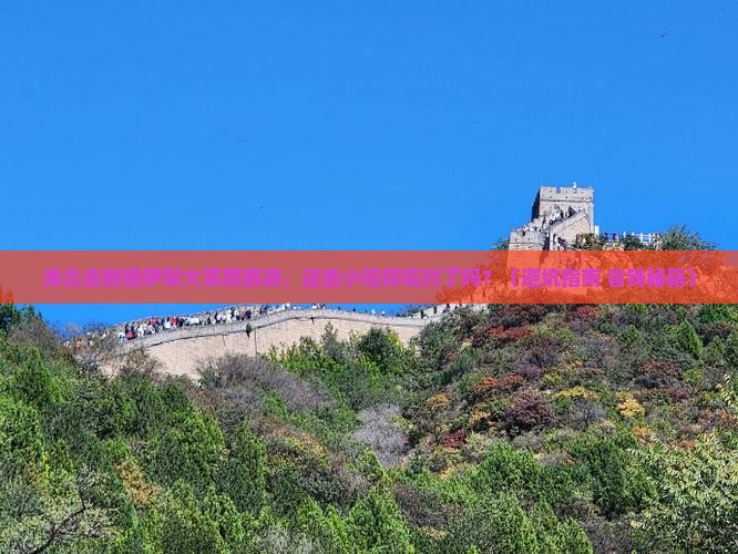 海北去新疆伊犁大草原旅游小吃