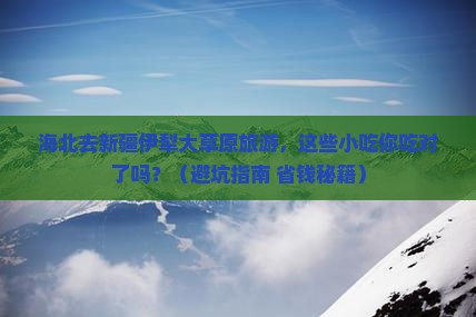 海北去新疆伊犁大草原旅游小吃