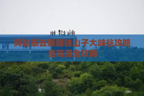 阿勒泰去新疆独山子大峡谷攻略