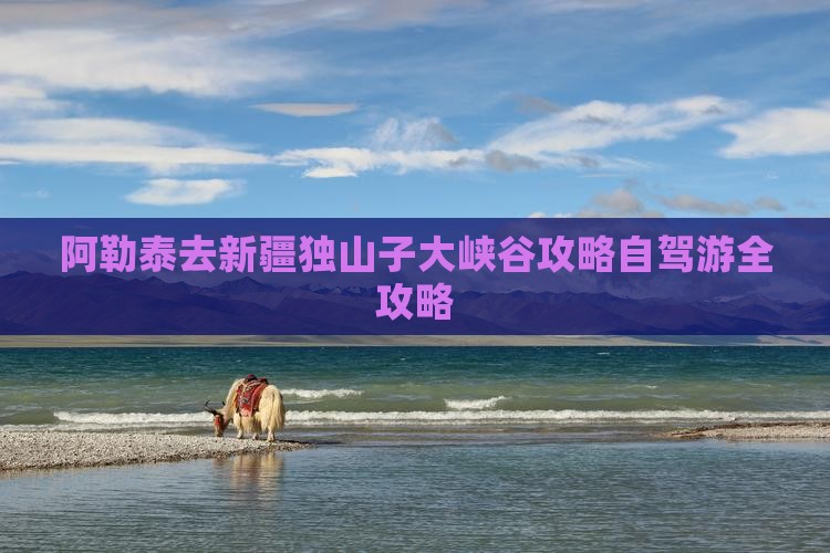 阿勒泰去新疆独山子大峡谷攻略