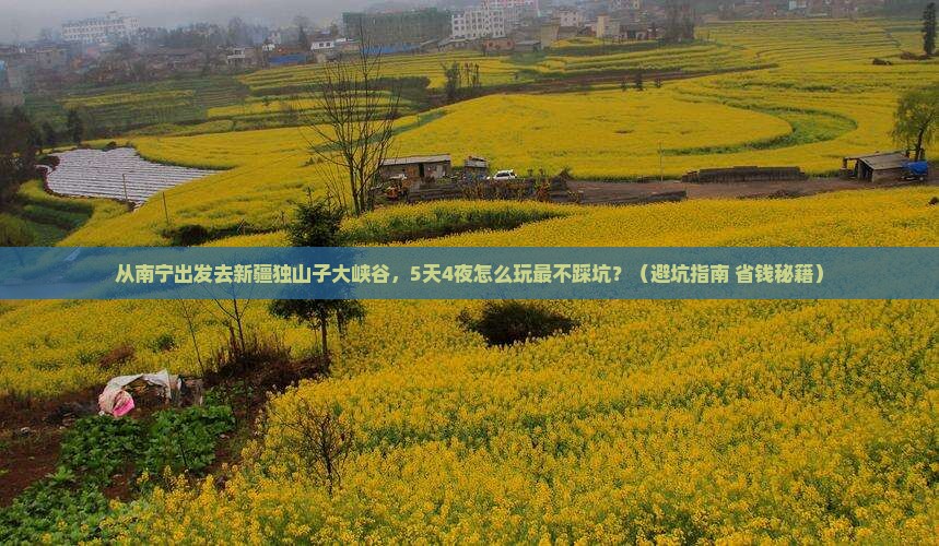 南宁去新疆独山子大峡谷旅游