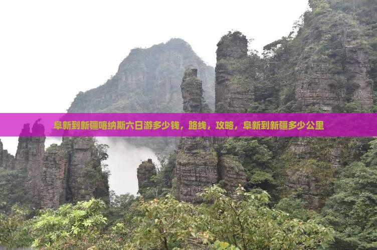 阜新到新疆喀纳斯六日游