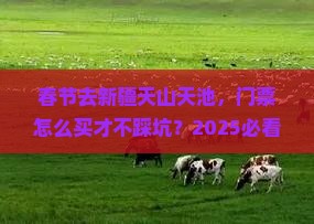 春节到新疆天山天池门票