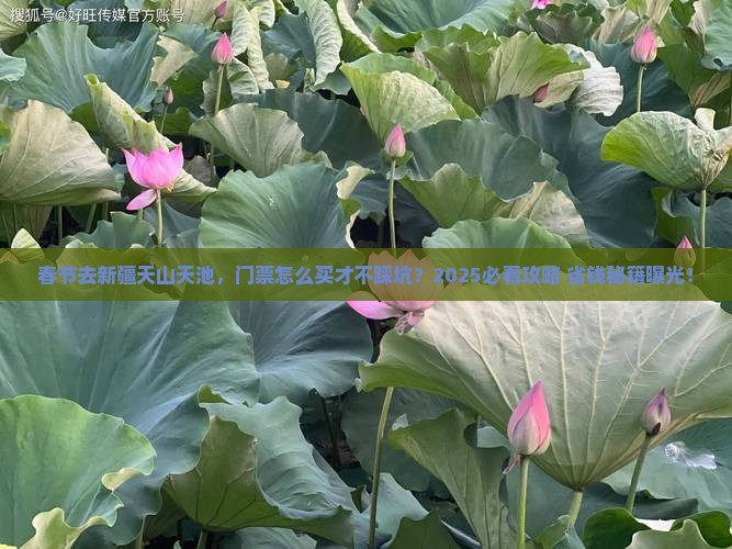 春节到新疆天山天池门票