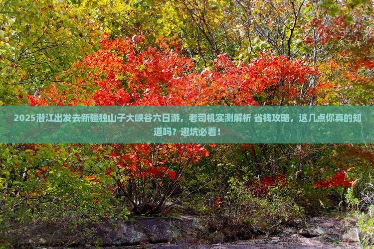 潜江去新疆独山子大峡谷六日游