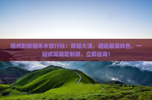梧州到新疆禾木旅行社