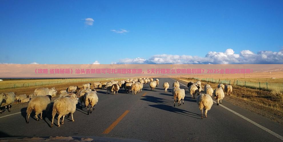 汕头去新疆可可托海团体旅游