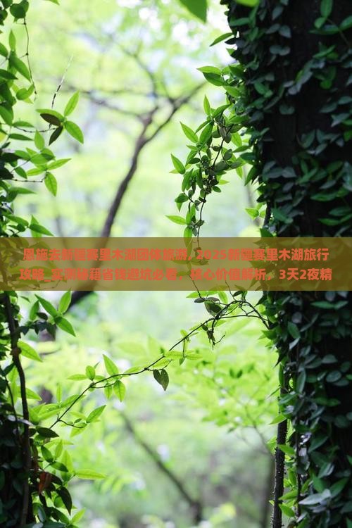 恩施去新疆赛里木湖团体旅游