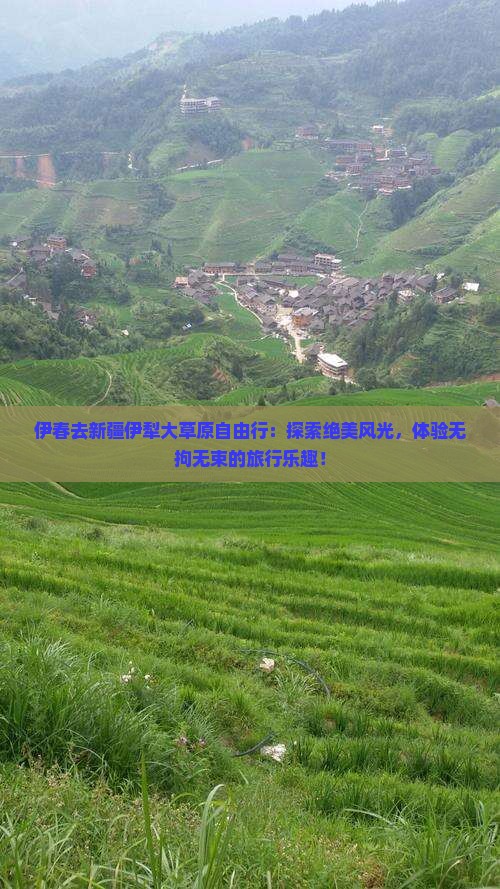 伊春去新疆伊犁大草原自由行