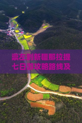 崇左到新疆那拉提七日游