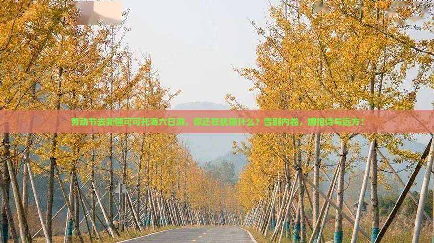 劳动节到新疆可可托海六日游