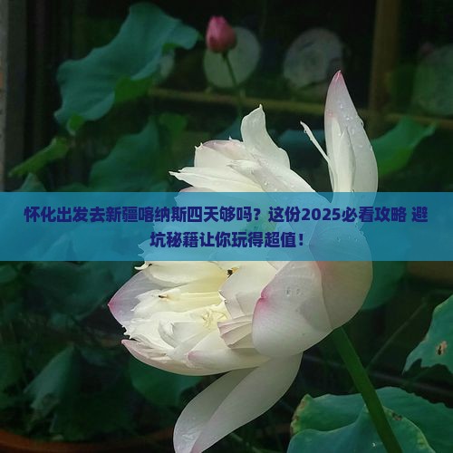 怀化到新疆喀纳斯四日游