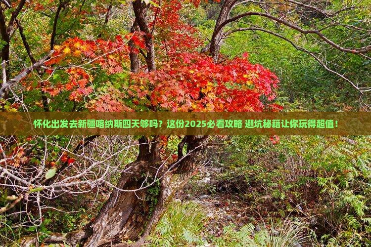 怀化到新疆喀纳斯四日游