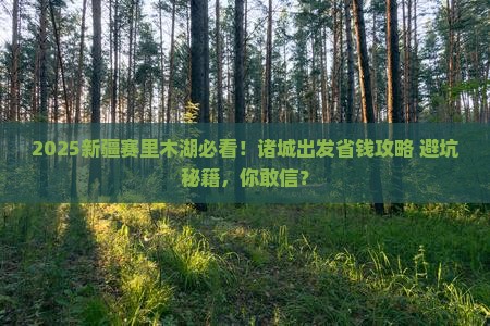 诸城到新疆赛里木湖攻略