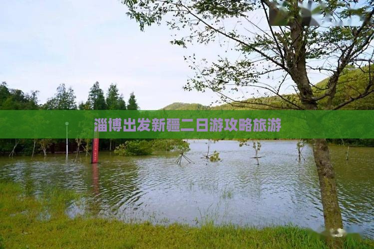 淄博到新疆二日游
