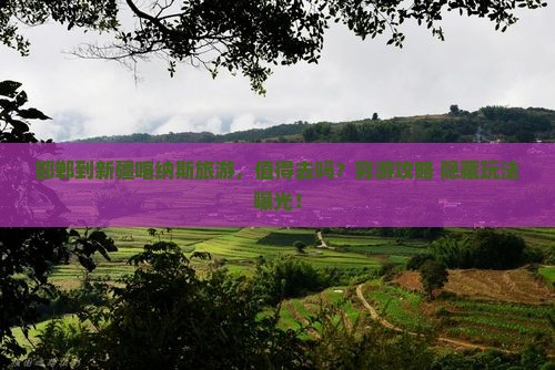 邯郸到新疆喀纳斯旅游