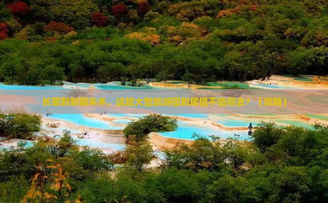 长葛到新疆禾木大型旅游团