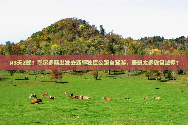 鄂尔多斯到新疆独库公路五日游