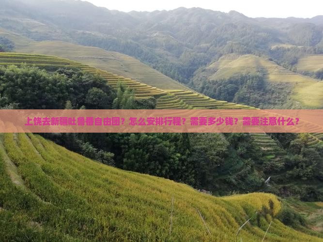 上饶去新疆吐鲁番自由团 上饶去新疆吐鲁番自由团