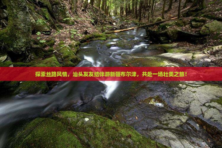 汕头到新疆布尔津大型旅游团