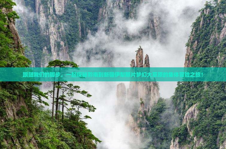 黔南到新疆伊犁大草原团体旅游