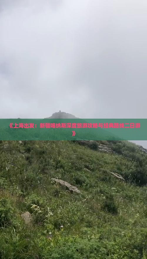 上海到新疆喀纳斯二日游