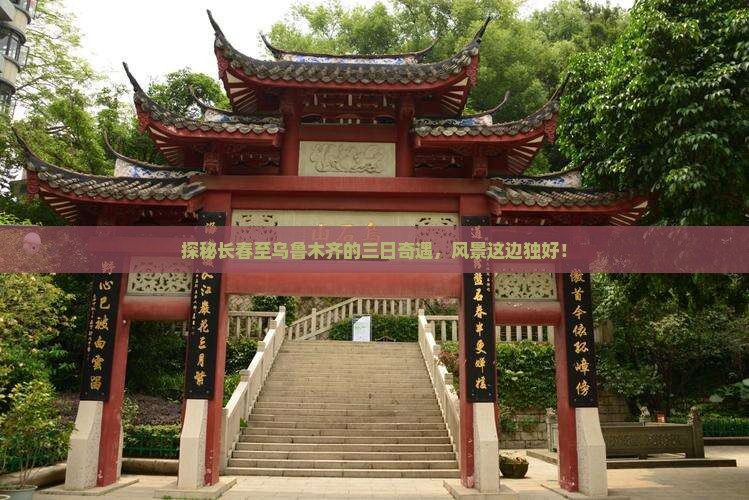 长春去新疆乌鲁木齐三日游