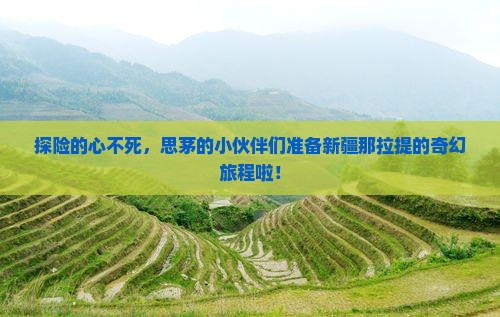 思茅去新疆那拉提大型旅游团