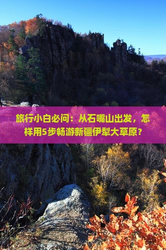 石嘴山到新疆伊犁大草原哪里玩