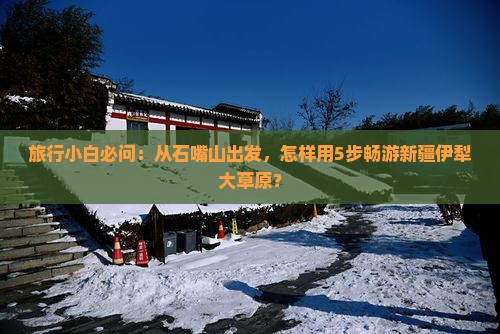 石嘴山到新疆伊犁大草原哪里玩