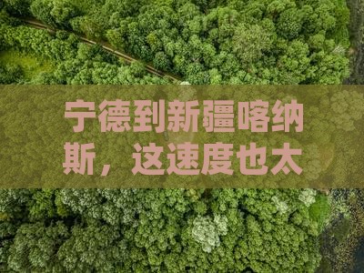 宁德去新疆喀纳斯一日