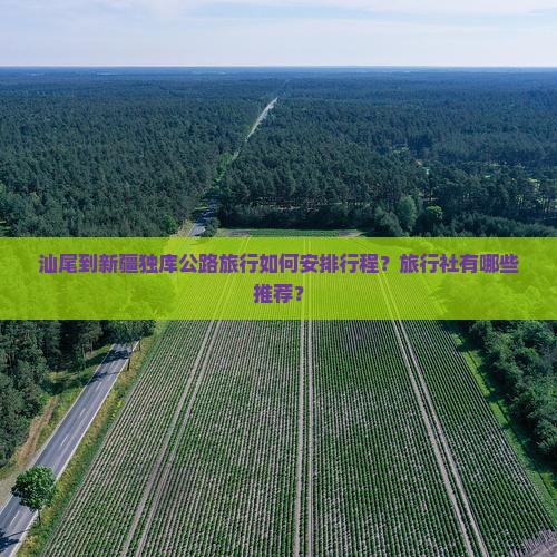 汕尾到新疆独库公路旅行社