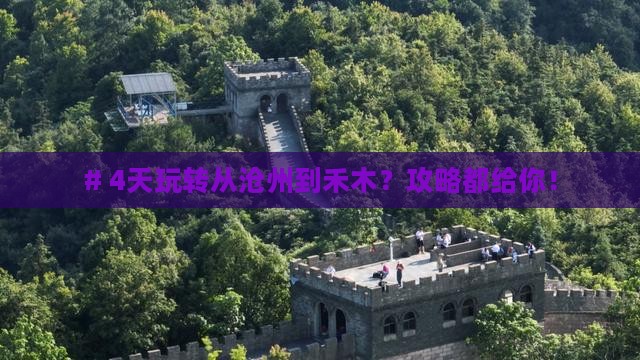 沧州到新疆禾木四日游