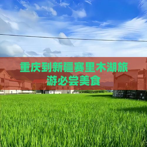重庆到新疆赛里木湖旅游小吃