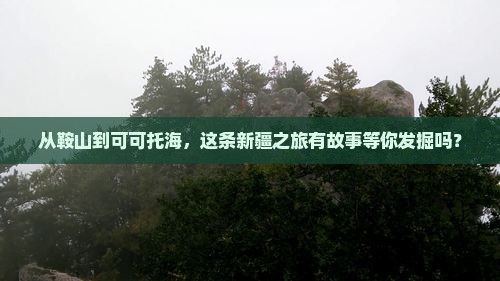 鞍山去新疆可可托海攻略