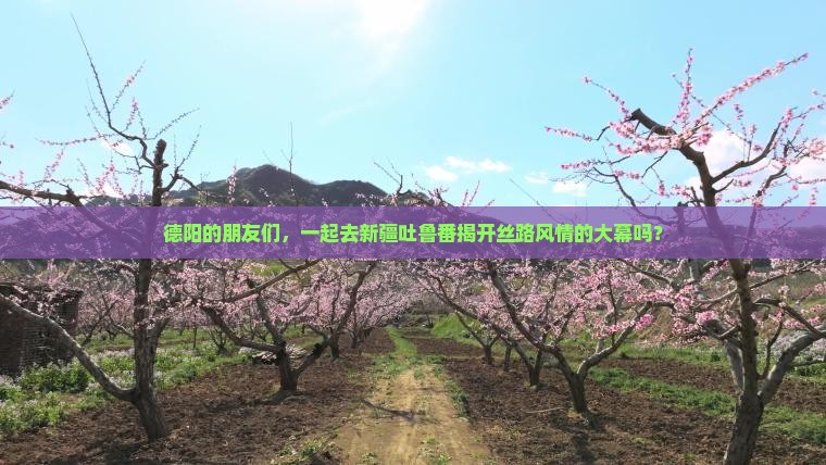 德阳到新疆吐鲁番大型旅游团