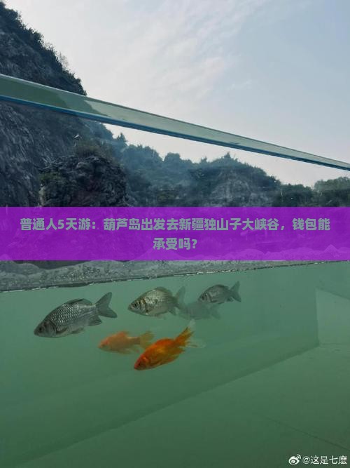 葫芦岛去新疆独山子大峡谷五日游