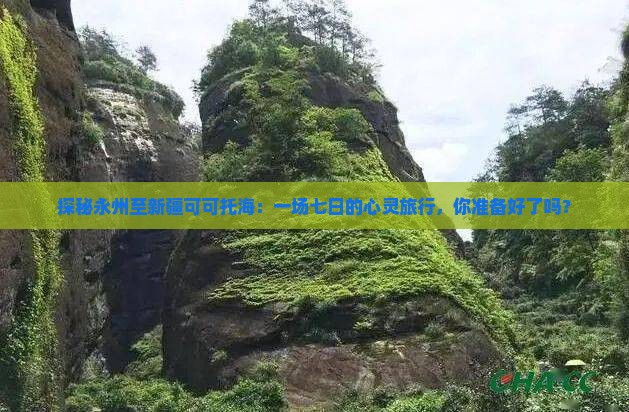 永州到新疆可可托海七日游