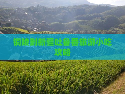 铜陵到新疆吐鲁番旅游小吃