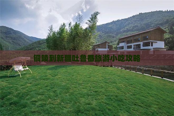 铜陵到新疆吐鲁番旅游小吃