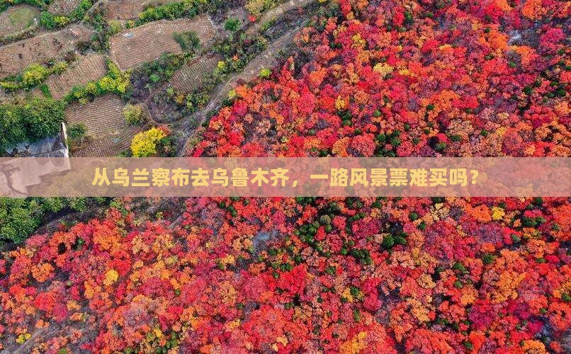 乌兰察布到新疆乌鲁木齐门票