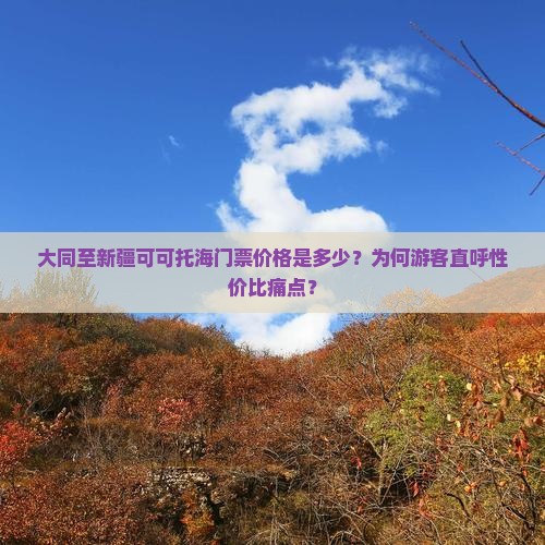 大同到新疆可可托海门票