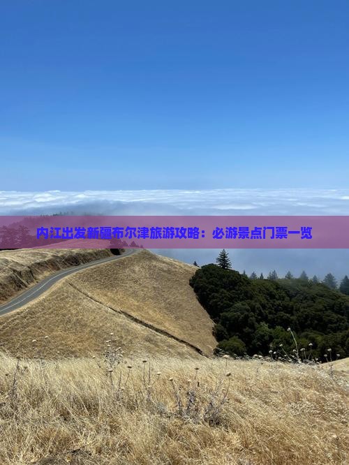 内江去新疆布尔津门票