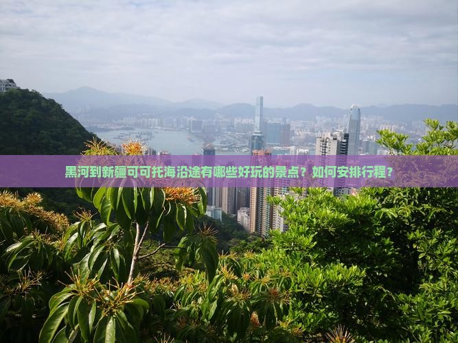 黑河到新疆可可托海哪里玩 黑河到新疆可可托海哪里玩