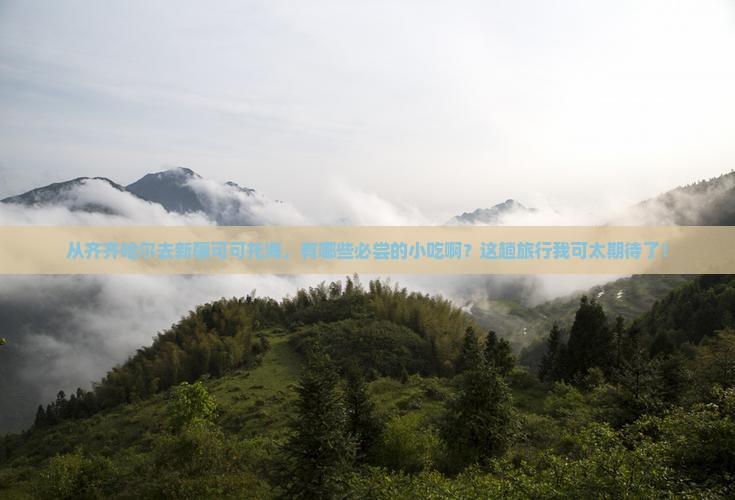 齐齐哈尔到新疆可可托海旅游小吃