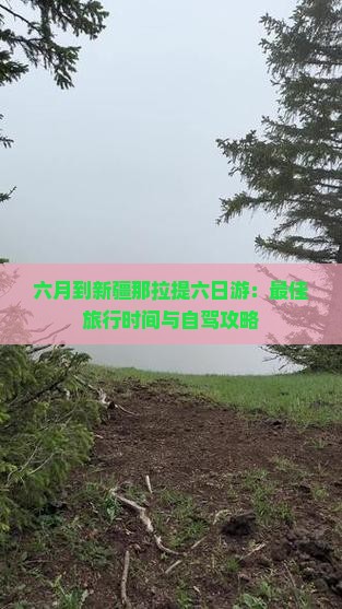 六月到新疆那拉提六日游