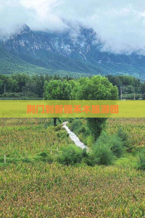 荆门去新疆禾木团体旅游